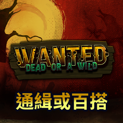 通緝或百搭