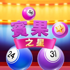 賓果之星